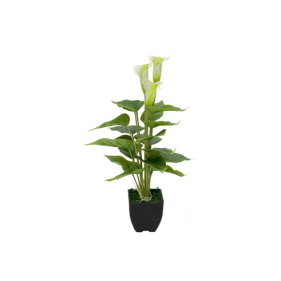 EUROPALMS Calla Mini Artificiale Bianca 43 cm - Pianta da Interno di Alta Qualità