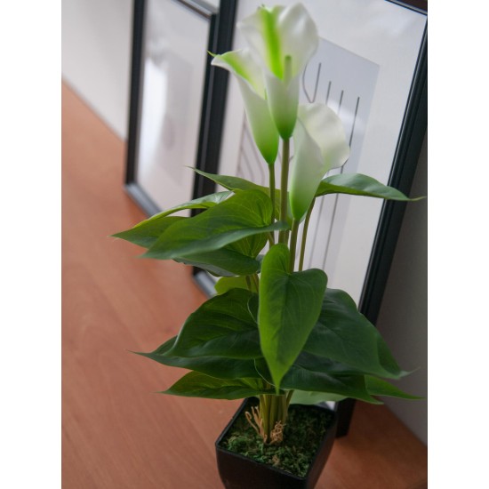 EUROPALMS Calla Mini Artificiale Bianca 43 cm - Pianta da Interno di Alta Qualità