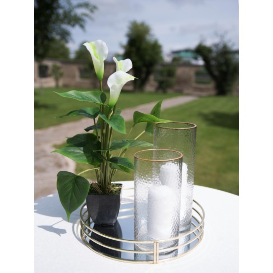 EUROPALMS Calla Mini Artificiale Bianca 43 cm - Pianta da Interno di Alta Qualità