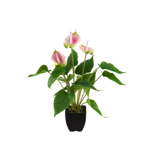 Pianta Artificiale Anthurium EUROPALMS Bianco Fucsia - Elegante Decorazione Interna ed Esterna