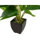 Pianta Artificiale Anthurium EUROPALMS Bianco Fucsia - Elegante Decorazione Interna ed Esterna