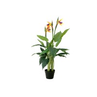 EUROPALMS Strelitzia Artificiale da Esterno, 90 cm - Pianta Decorativa Realistica