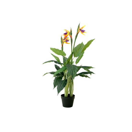 EUROPALMS Strelitzia Artificiale da Esterno, 90 cm - Pianta Decorativa Realistica
