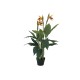 EUROPALMS Strelitzia Artificiale da Esterno, 90 cm - Pianta Decorativa Realistica