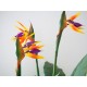 EUROPALMS Strelitzia Artificiale da Esterno, 90 cm - Pianta Decorativa Realistica