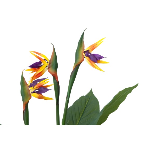 EUROPALMS Strelitzia Artificiale da Esterno, 90 cm - Pianta Decorativa Realistica