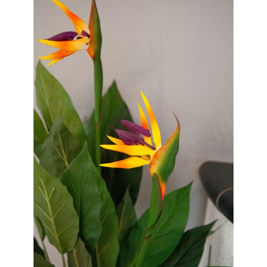 EUROPALMS Strelitzia Artificiale da Esterno, 90 cm - Pianta Decorativa Realistica