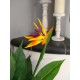 EUROPALMS Strelitzia Artificiale da Esterno, 90 cm - Pianta Decorativa Realistica