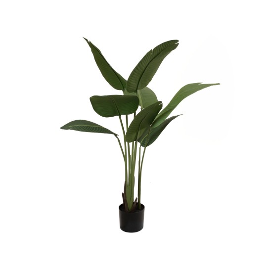 Pianta Artificiale EUROPALMS Strelitzia 110cm - Decorazione Tropicale Verde Scuro