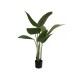 Pianta Artificiale EUROPALMS Strelitzia 110cm - Decorazione Tropicale Verde Scuro