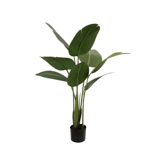 Pianta Artificiale EUROPALMS Strelitzia 110cm - Decorazione Tropicale Verde Scuro