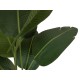 Pianta Artificiale EUROPALMS Strelitzia 110cm - Decorazione Tropicale Verde Scuro