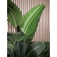 Pianta Artificiale EUROPALMS Strelitzia 110cm - Decorazione Tropicale Verde Scuro