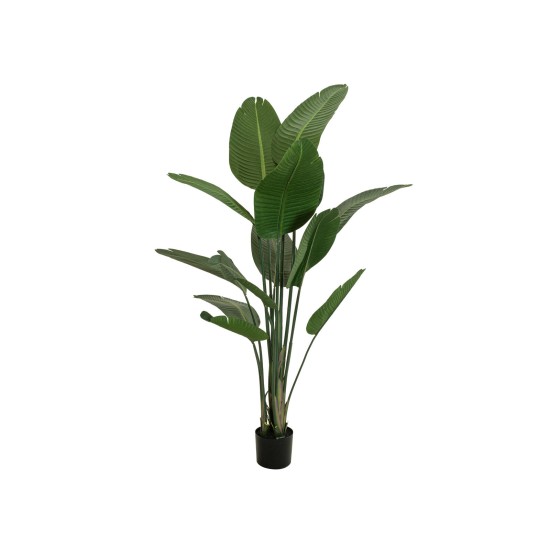Strelitzia Artificiale EUROPALMS 170cm - Pianta Decorativa Realistica per Interni
