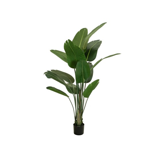 Strelitzia Artificiale EUROPALMS 170cm - Pianta Decorativa Realistica per Interni
