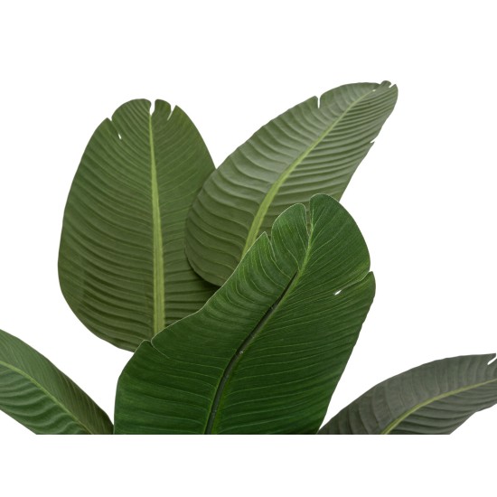 Strelitzia Artificiale EUROPALMS 170cm - Pianta Decorativa Realistica per Interni