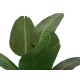 Strelitzia Artificiale EUROPALMS 170cm - Pianta Decorativa Realistica per Interni