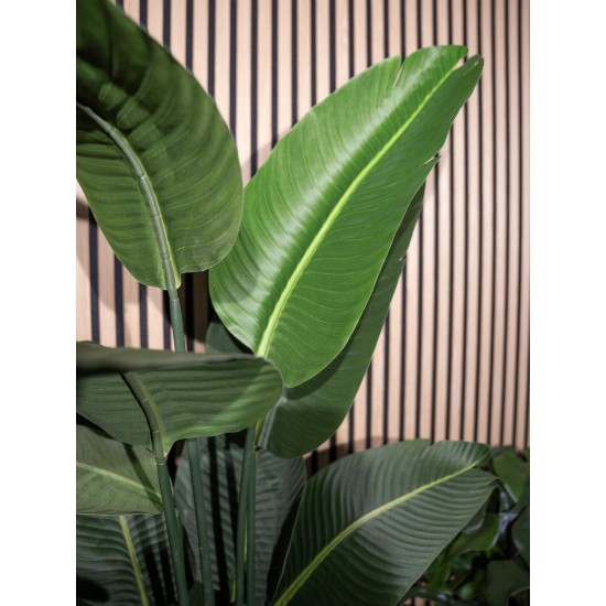 Strelitzia Artificiale EUROPALMS 170cm - Pianta Decorativa Realistica per Interni