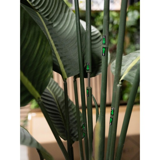 Strelitzia Artificiale EUROPALMS 170cm - Pianta Decorativa Realistica per Interni