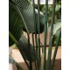 Strelitzia Artificiale EUROPALMS 170cm - Pianta Decorativa Realistica per Interni