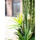 EUROPALMS Mix Succulente Artificiale 190cm - Pianta Decorativa da Esterno