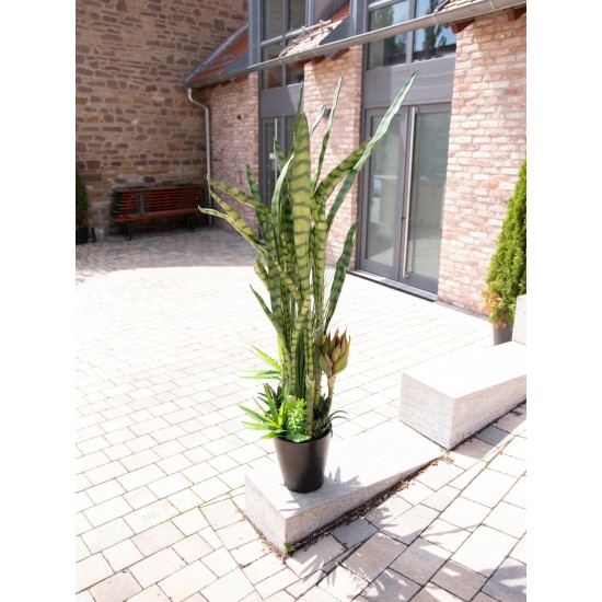 EUROPALMS Mix Succulente Artificiale 190cm - Pianta Decorativa da Esterno