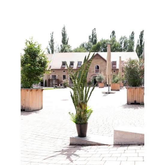 EUROPALMS Mix Succulente Artificiale 190cm - Pianta Decorativa da Esterno