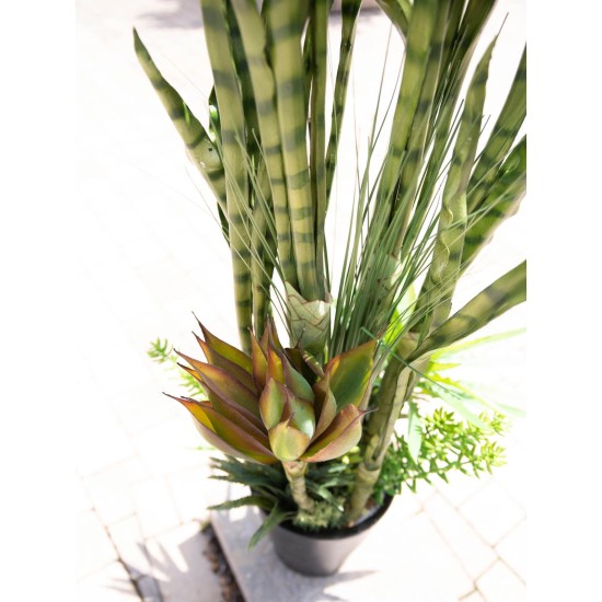 EUROPALMS Mix Succulente Artificiale 190cm - Pianta Decorativa da Esterno