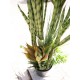 EUROPALMS Mix Succulente Artificiale 190cm - Pianta Decorativa da Esterno