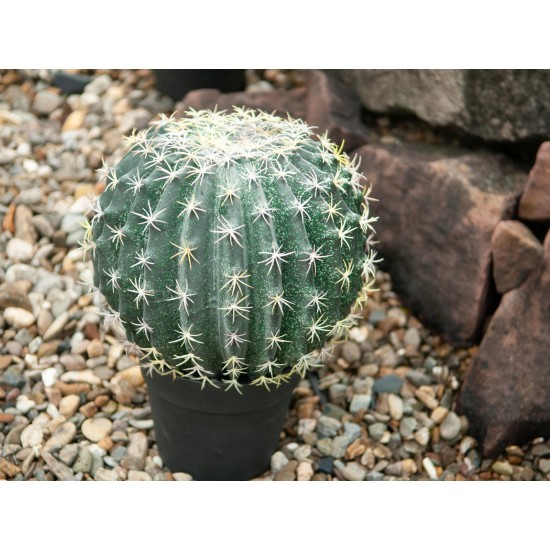 Cactus a Sfera EUROPALMS 34 cm - Pianta Artificiale per Decorazioni Esterne