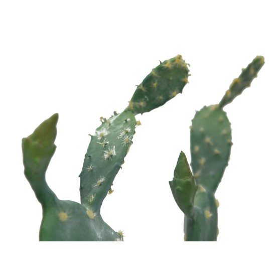 Nopal Cactus Artificiale EUROPALMS 76cm - Pianta Decorativa per Uso Esterno