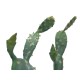 Nopal Cactus Artificiale EUROPALMS 76cm - Pianta Decorativa per Uso Esterno