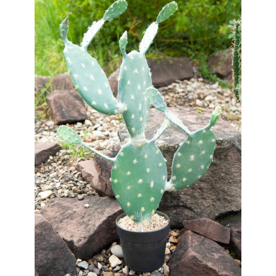 Nopal Cactus Artificiale EUROPALMS 76cm - Pianta Decorativa per Uso Esterno