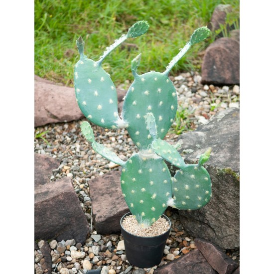 Nopal Cactus Artificiale EUROPALMS 76cm - Pianta Decorativa per Uso Esterno