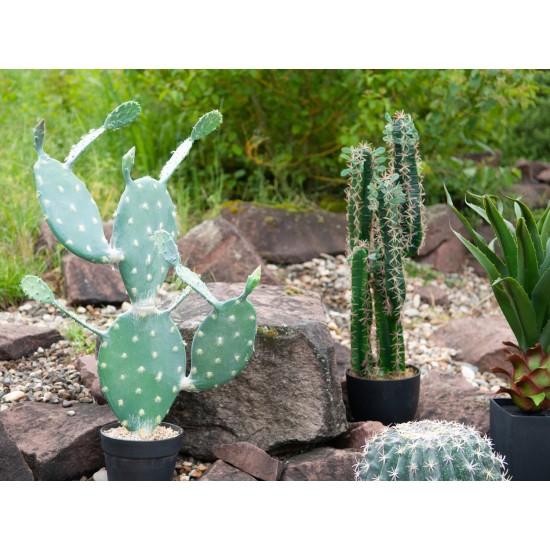 Nopal Cactus Artificiale EUROPALMS 76cm - Pianta Decorativa per Uso Esterno