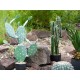 Nopal Cactus Artificiale EUROPALMS 76cm - Pianta Decorativa per Uso Esterno