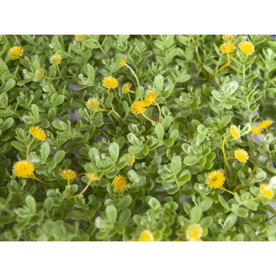 Tappetino Erboso Artificiale 25x25cm EUROPALMS per Esterni, Verde-Giallo in PE