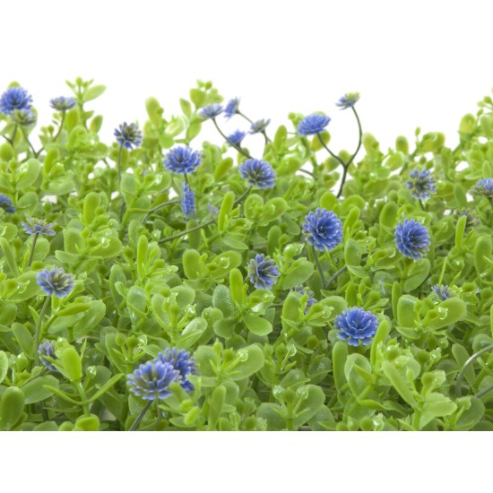 Tappeto Erboso Artificiale EUROPALMS Verde-Viola 25x25cm per Esterni