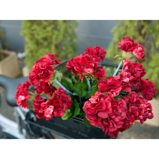 Geranio Artificiale EUROPALMS Rosso Scuro - 42 cm, Decorazione Estiva Realistica