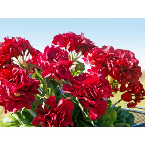 Geranio Artificiale EUROPALMS Rosso Scuro - 42 cm, Decorazione Estiva Realistica