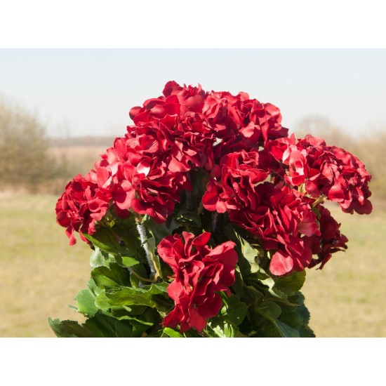 Geranio Artificiale EUROPALMS Rosso Scuro - 42 cm, Decorazione Estiva Realistica