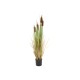 EUROPALMS Bulrush 150cm - Pianta Artificiale per Esterni, Effetto Naturale