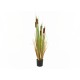 EUROPALMS Bulrush 150cm - Pianta Artificiale per Esterni, Effetto Naturale