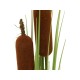 EUROPALMS Bulrush 150cm - Pianta Artificiale per Esterni, Effetto Naturale