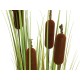 EUROPALMS Bulrush 150cm - Pianta Artificiale per Esterni, Effetto Naturale