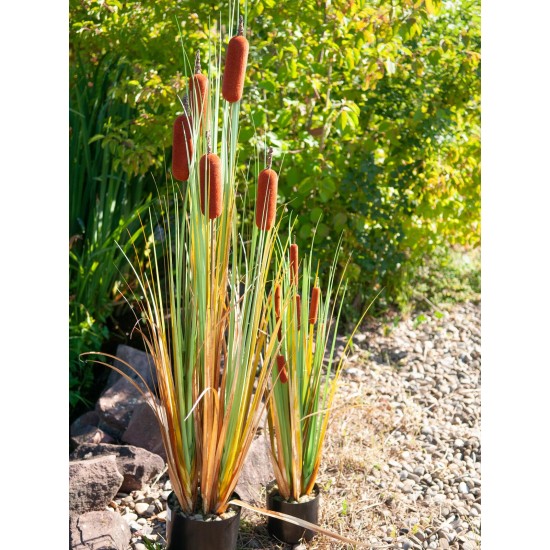 EUROPALMS Bulrush 150cm - Pianta Artificiale per Esterni, Effetto Naturale