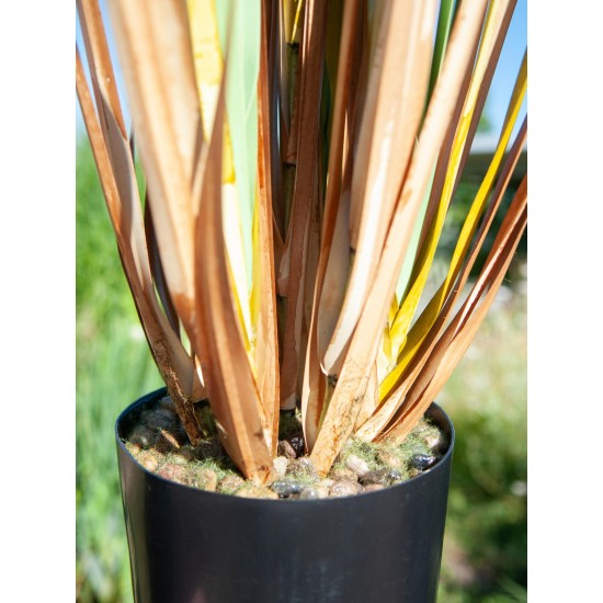 EUROPALMS Bulrush 150cm - Pianta Artificiale per Esterni, Effetto Naturale