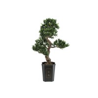 Pianta Artificiale Podocarpus Bonsai EUROPALMS 80 cm, Eleganza e Realismo per Interni ed Esterni