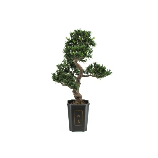 Pianta Artificiale Podocarpus Bonsai EUROPALMS 80 cm, Eleganza e Realismo per Interni ed Esterni