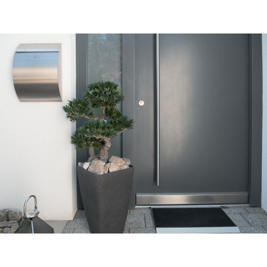 Pianta Artificiale Podocarpus Bonsai EUROPALMS 80 cm, Eleganza e Realismo per Interni ed Esterni